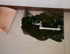高唐卫生间测漏水多少钱